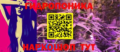 молекула духа Кулебаки