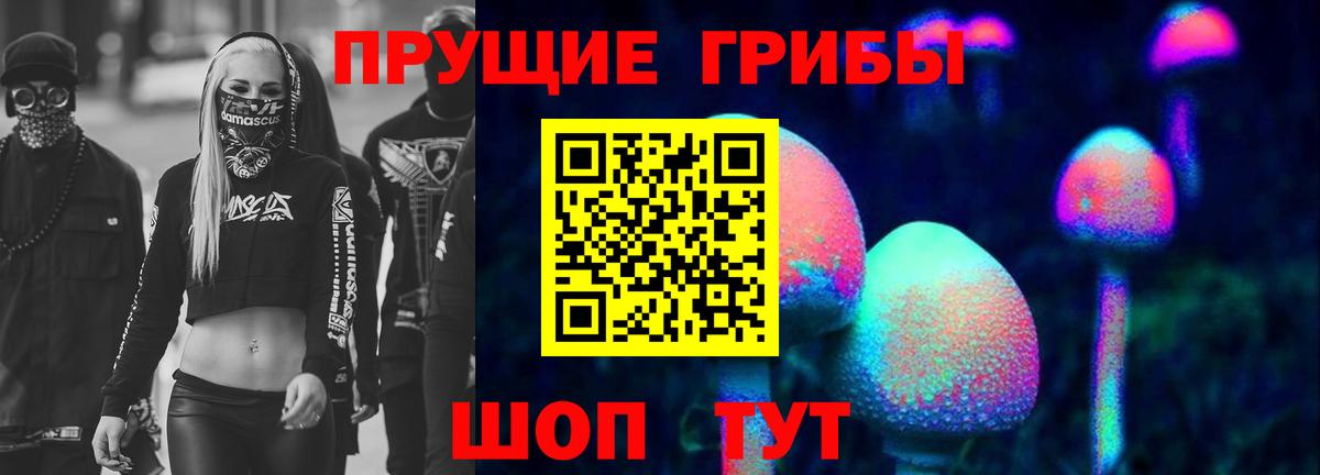 Псилоцибиновые грибы GOLDEN TEACHER Аксай